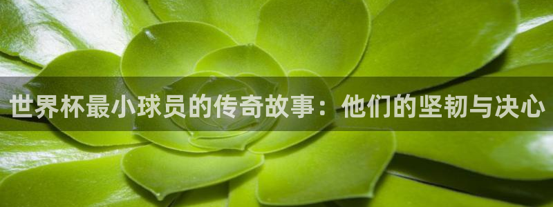 2026世界杯对阵图：世界杯最小球员的传奇故事：他们的坚韧与决心