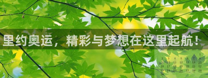 2026足球世界杯：里约奥运，精彩与梦想在这里起航！