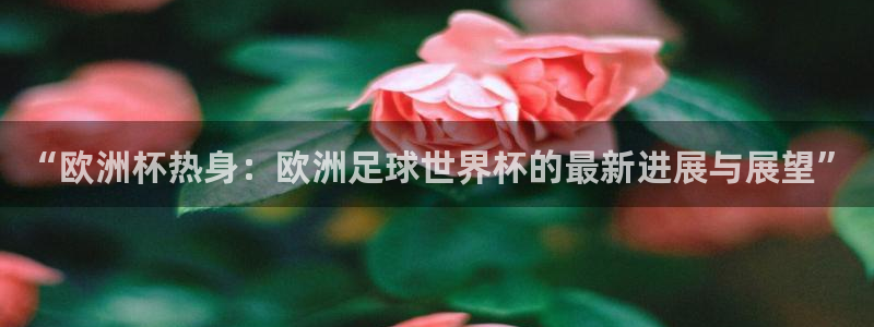 世界杯预选赛欧洲赛区赛程：“欧洲杯热身：欧洲足球世界杯的最新进展与展望”