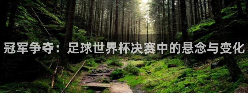 世界杯赛程表：冠军争夺：足球世界杯决赛中的悬念与变化