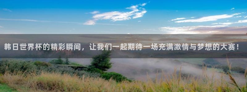 2026年世界杯赛程时间表格：韩日世界杯的精彩瞬间，让我们一起期待一场充满激情与梦想的大赛！