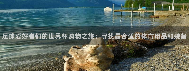 2026足球世界杯：足球爱好者们的世界杯购物之旅：寻找最合适的体育用品和装备