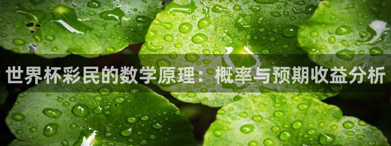 世界杯直播免费观看：世界杯彩民的数学原理：概率与预期收益分析