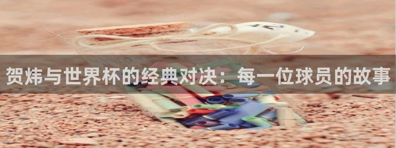 世界杯预选赛赛程：贺炜与世界杯的经典对决：每一位球员的故事