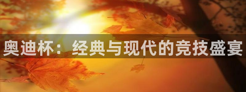 2026世界杯倒计时：奥迪杯：经典与现代的竞技盛宴