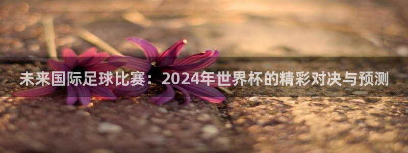 世预赛赛程表：未来国际足球比赛：2024年世界杯的精彩对决与预测