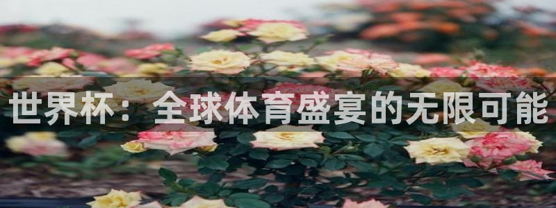 世界杯亚洲区预选赛赛程表：世界杯：全球体育盛宴的无限可能