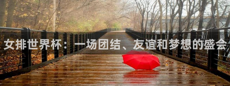 2026世界杯赛制：女排世界杯：一场团结、友谊和梦想的盛会