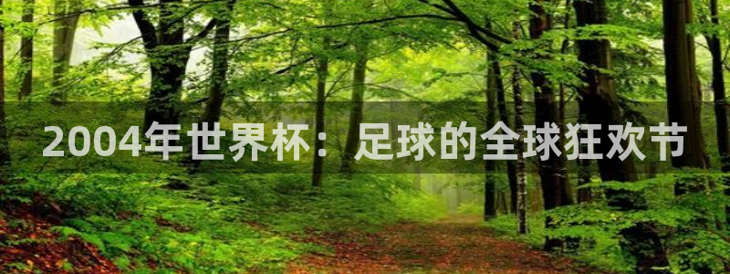 2026世界杯官网：2004年世界杯：足球的全球狂欢节