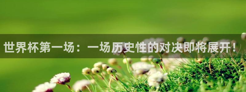2026年世界杯对阵图：世界杯第一场：一场历史性的对决即将展开！