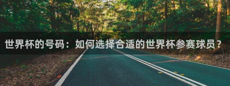 世界杯球队：世界杯的号码：如何选择合适的世界杯参赛球员？